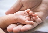 An infant's tiny hand being held in the hand of a full-grown adult
