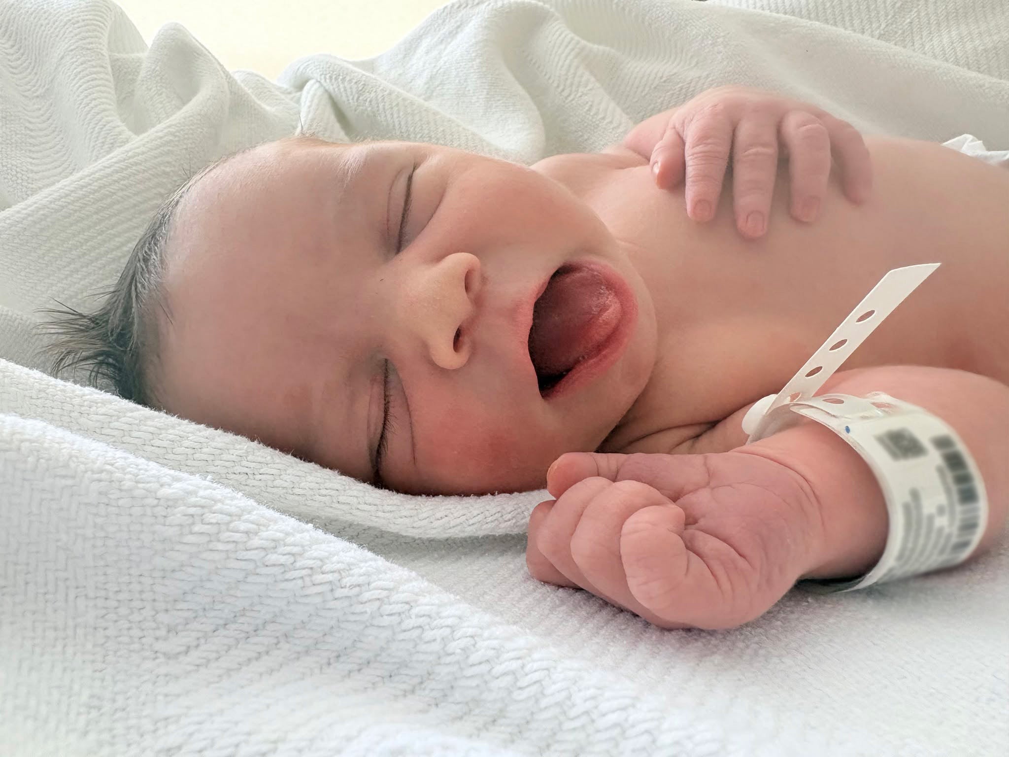 Layne Greczyn, born July 4, 2026