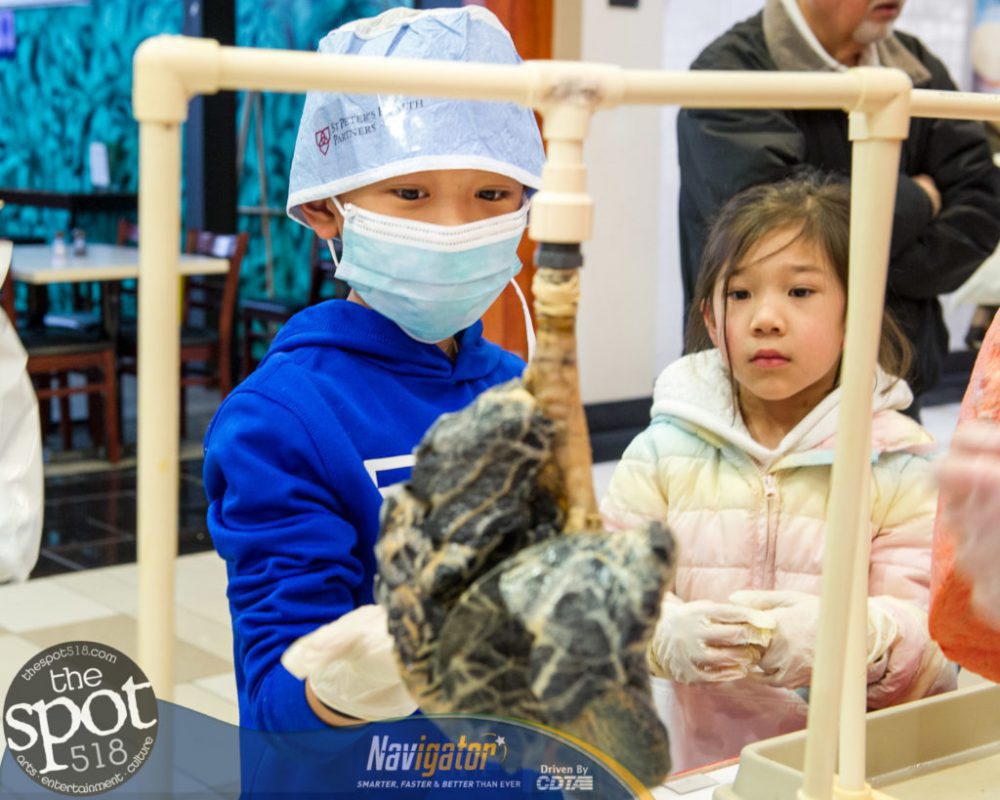 Journey Through the Body