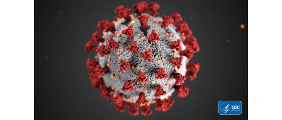 Spectrum News: Capital Region Hospital Leaders Present United Front Handling Coronavirus