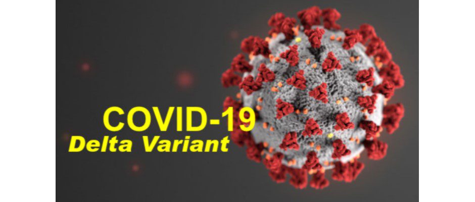 Image courtesy: WAMC